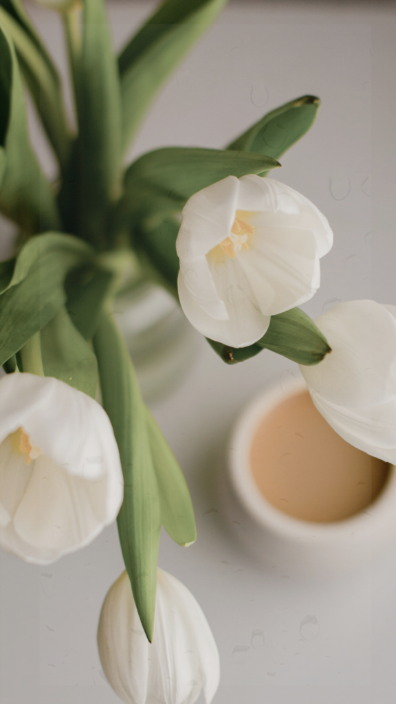 White Simple Tulips Floral Phone Wallpaper